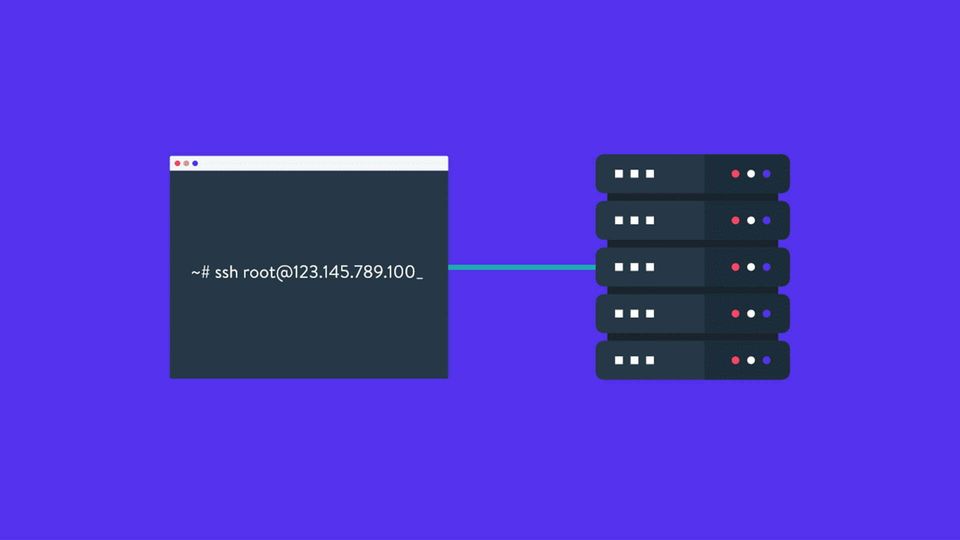 Python İle SSH Bağlantısı Yapmak (Windows & Linux Cihazlarda)